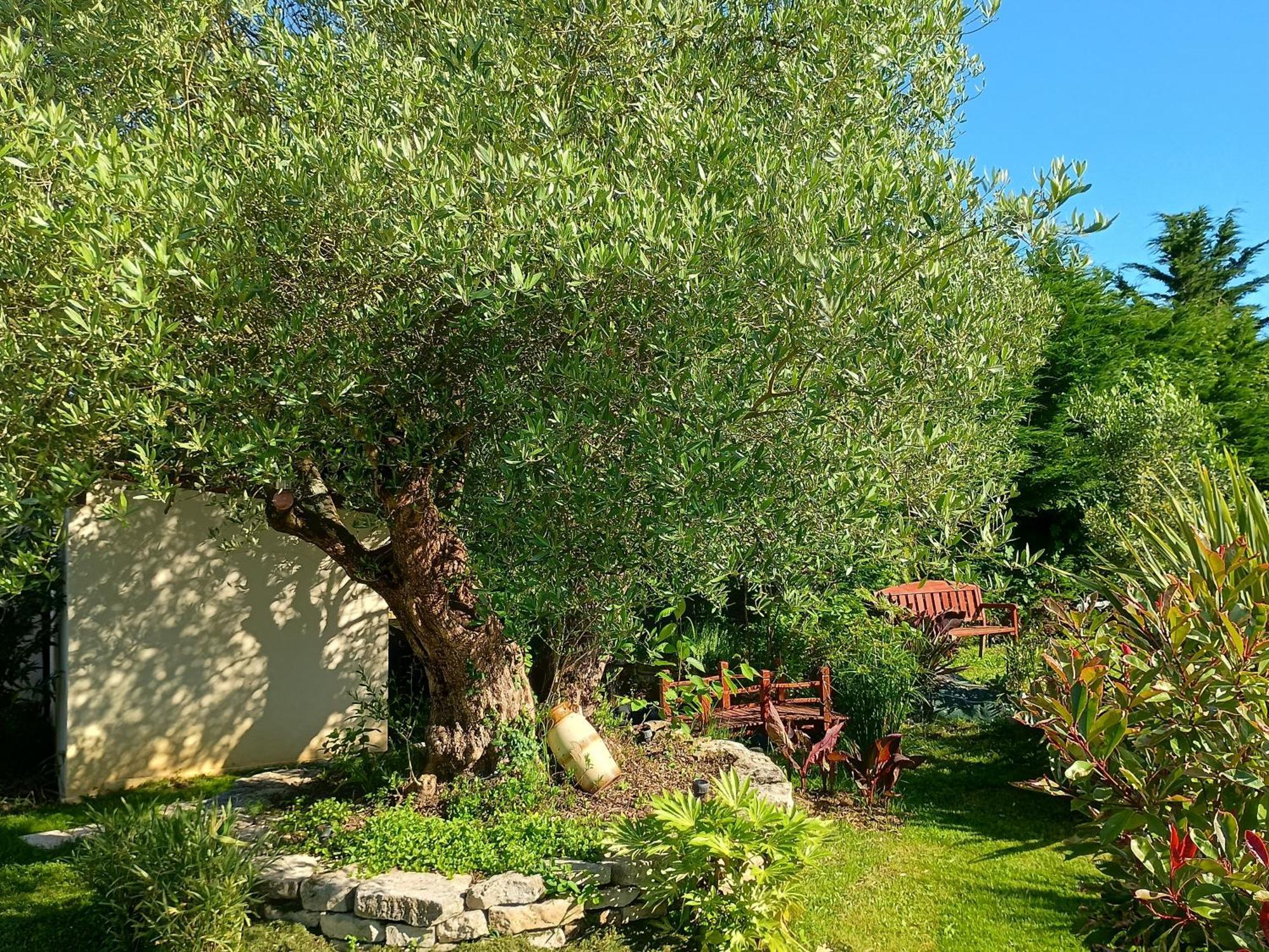 Gite Les Rosiers Au Domaine Des Sauvineries Saint-Germain-de-Princay 外观 照片